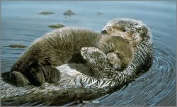 Terry Isaac - Rockabye Sea Otter