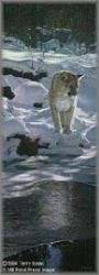 Terry Isaac - Snow Shadows - Cougar