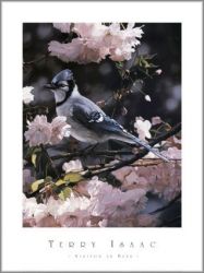 Terry Isaac - Visitor in Blue