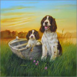 Lynn Kaatz - Springer Spaniels Lynn Kaatz - Springer Spaniels
