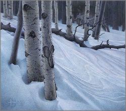 Scott Kennedy - Midnight Eyes