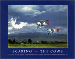 Craig Kodera - Scaring the Cows