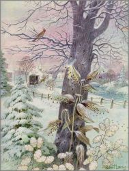 Robert Laessig - First Snow