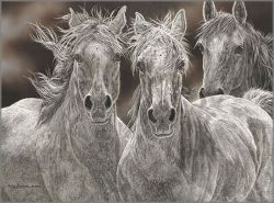 Judy Larson - Fugitives