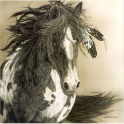 Judy Larson - With Freedom for All