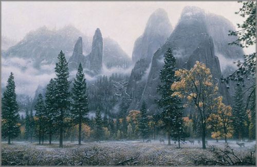 Stephen Lyman - Cathedral Snow