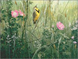Stephen Lyman - Song of the Meadow