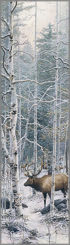 Stephen Lyman - Woodland Haven