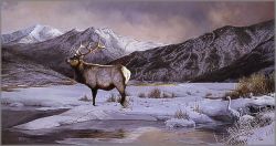 Bonnie Marris - Bugles and Trumpets!