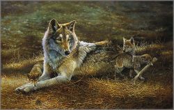 Bonnie Marris - Cops & Robbers