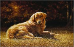 Bonnie Marris - End of the Season