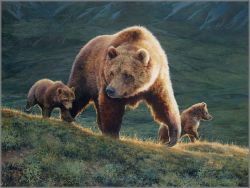 Bonnie Marris - Her Power and Her Glory