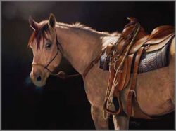 Bonnie Marris - Jack's Night to Win