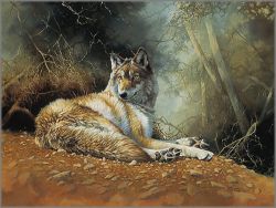 Bonnie Marris - Kenai Dusk