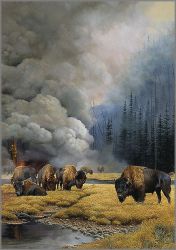 Bonnie Marris - New Beginnings