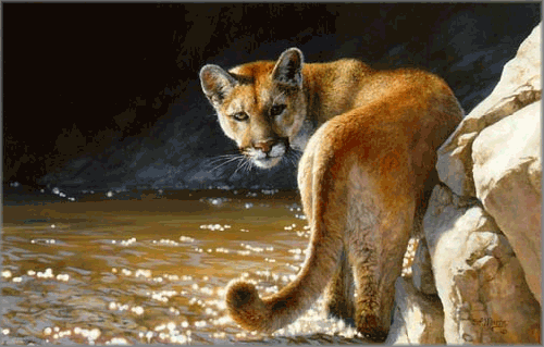 Bonnie Marris - Showdown
