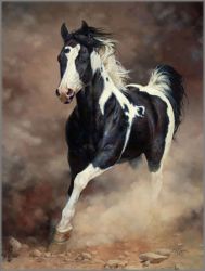 Bonnie Marris - Spirit Unbroken