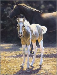 Bonnie Marris - Sun Splashed