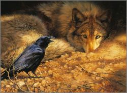 Bonnie Marris - Too Much Information