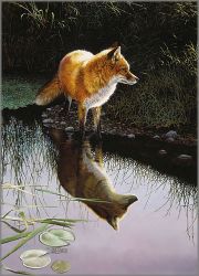 Bonnie Marris - Under the Morning Star