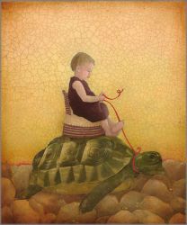 Emily McPhie - Tortoise