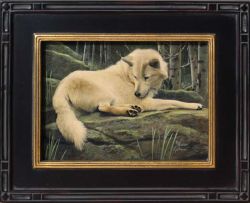 Karen Latham - Curiosity - White Wolf