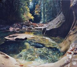 Richard Mravik - Light Reflections