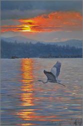 Richard Mravik - Heading Home