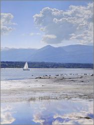 Richard Mravik - Sailing Through