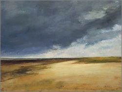 Anne Packard - Province Land