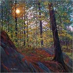 Tim Packer - Golden Light of Spring