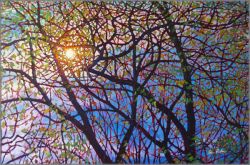 Tim Packer - Sun in the Willows