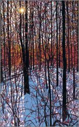 Tim Packer - Sunlit Afternoon