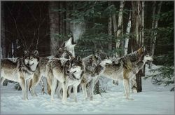 Ron Parker - Breaking the Silence