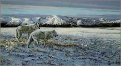 Ron Parker - First Snow - Arctic Wolves