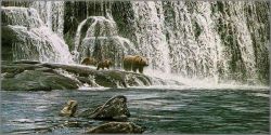 Ron Parker - Grizzlies at the Falls