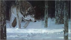 Ron Parker - Moonlit Tracks