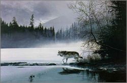 Ron Parker - Spring Mist - Gray Wolf