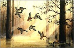Maynard Reece - Morning Light - Mallards
