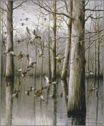 Maynard Reece - Oak Timber - Mallards