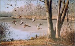 Maynard Reece - Quiet Pond-Mallards