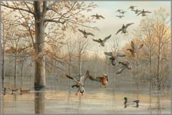 Maynard Reece - Quiet Reflections