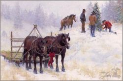 Jim Rey - Perfect Tree, The