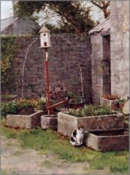 Bradley Schmehl - Courtyard Kitty