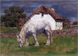 Bradley Schmehl - White on White