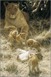 John Seerey-Lester - Bilashaka Playtime