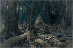 John Seerey-Lester - Black Watch