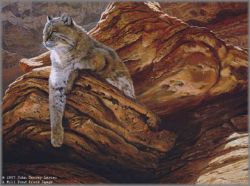 John Seerey-Lester - Cliff Hanger-Bobcat