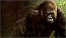 John Seerey-Lester - Face to Face