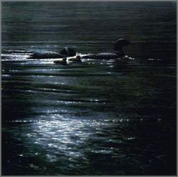 John Seerey-Lester - Loonlight